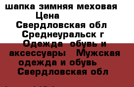 шапка зимняя меховая › Цена ­ 1 500 - Свердловская обл., Среднеуральск г. Одежда, обувь и аксессуары » Мужская одежда и обувь   . Свердловская обл.